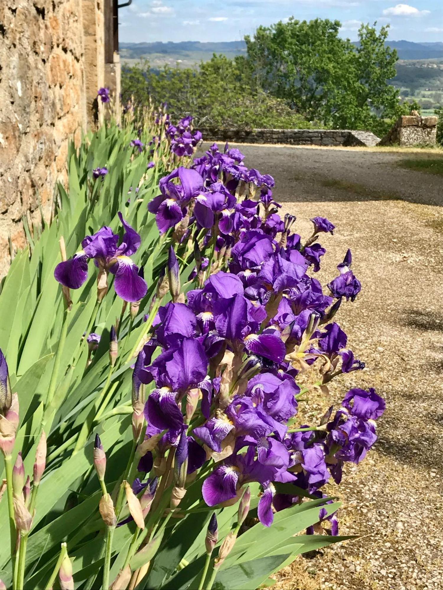 Manoir De Rieuzal Bed & Breakfast Loubressac Exterior photo