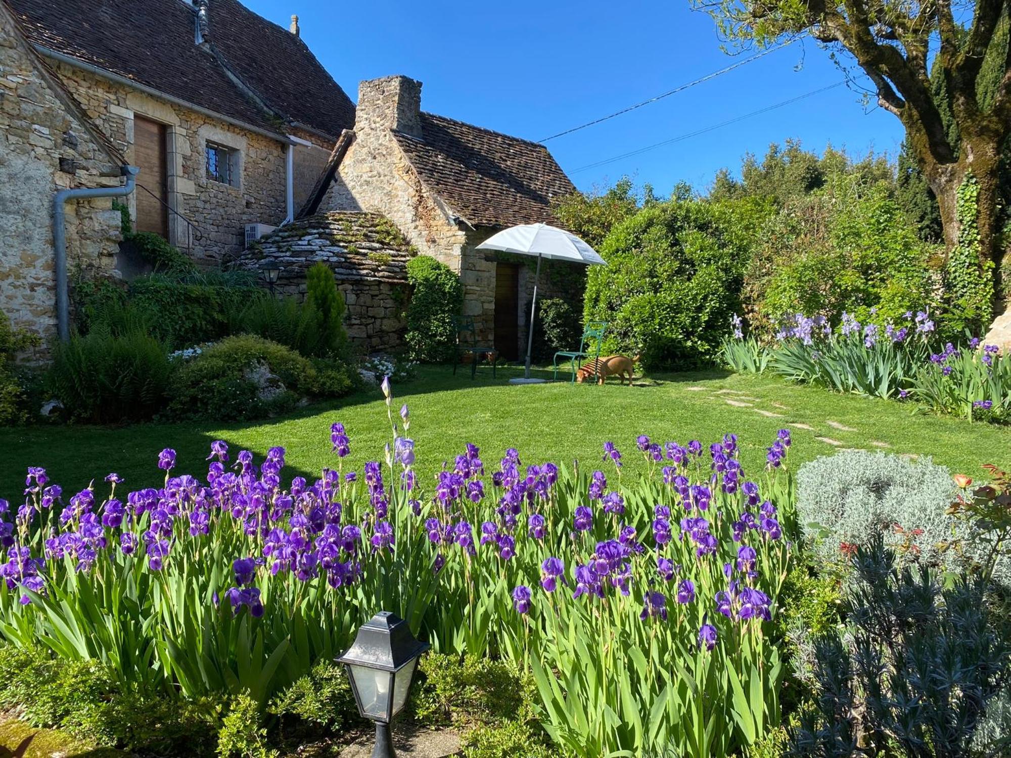 Manoir De Rieuzal Bed & Breakfast Loubressac Exterior photo