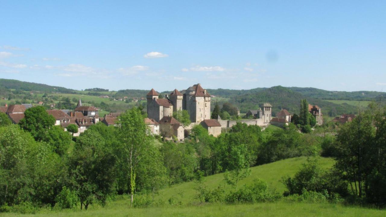 Manoir De Rieuzal Bed & Breakfast Loubressac Exterior photo